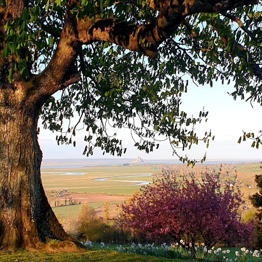 L'Abrincat'Studio, Centre Entre Donjon Et Vue Mont Avranches Exteriör bild